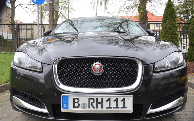 Jaguar XF cena 59900 przebieg: 226000, rok produkcji 2014 z Recz małe 436